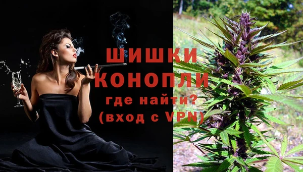 сатива Балабаново