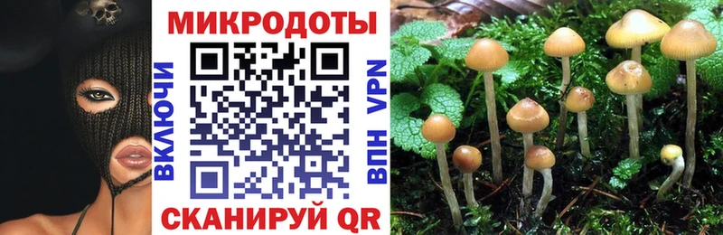 МЕГА ТОР  Кола  Псилоцибиновые грибы Psilocybine cubensis 